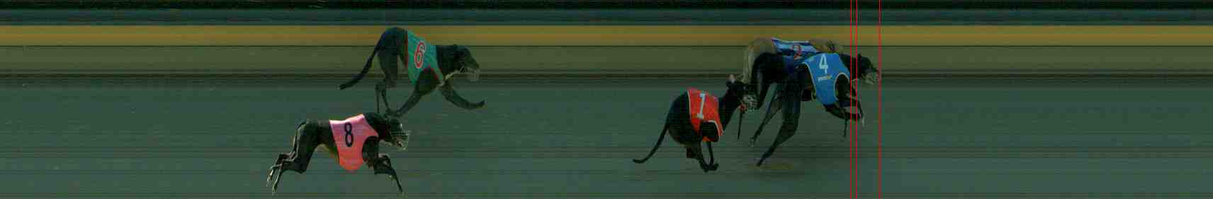 Photo finish for Sale Race 3