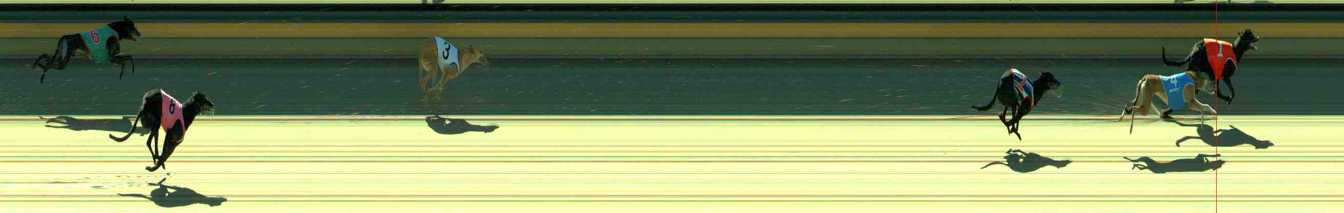 Photo finish for Sale Race 4