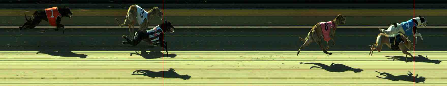 Photo finish for Sale Race 5