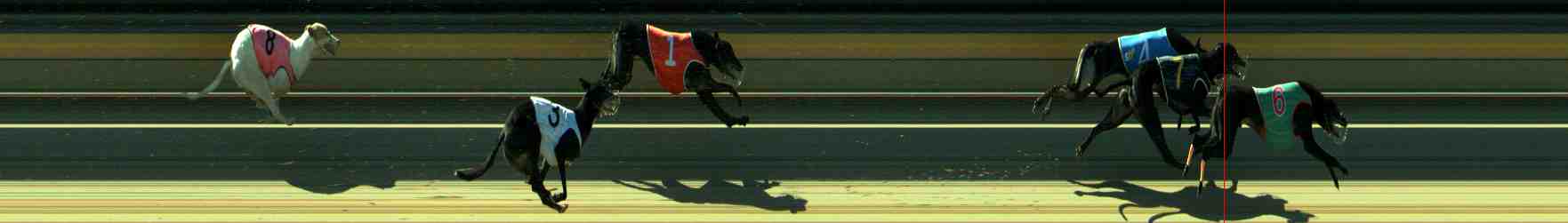 Photo finish for Sale Race 6