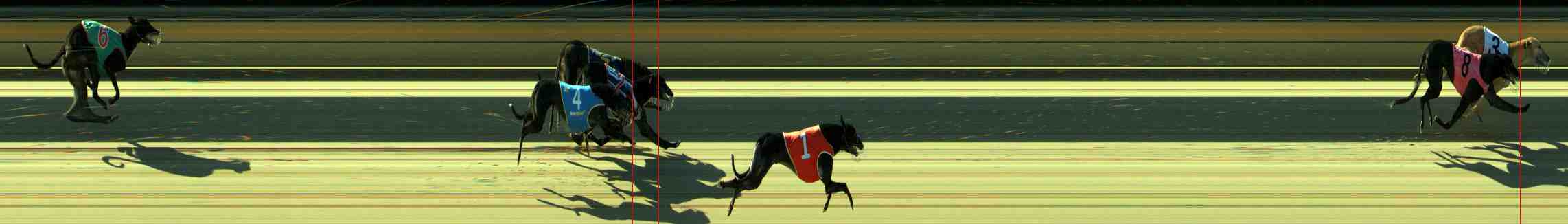 Photo finish for Sale Race 9