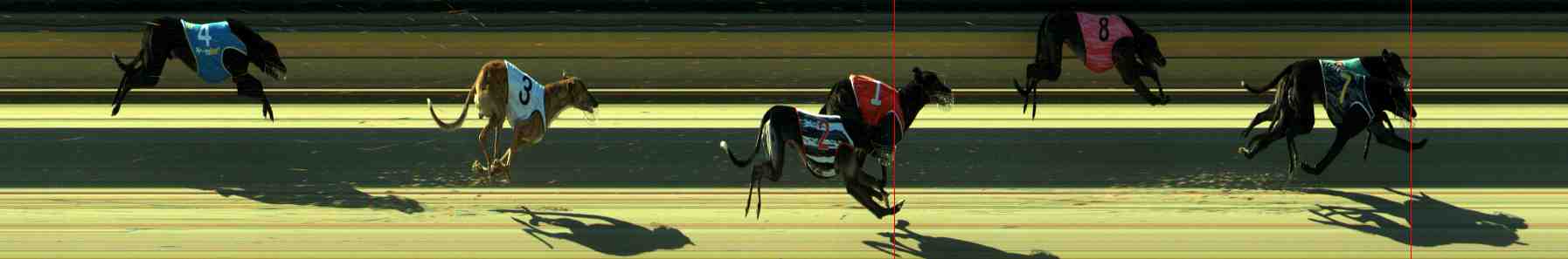 Photo finish for Sale Race 10