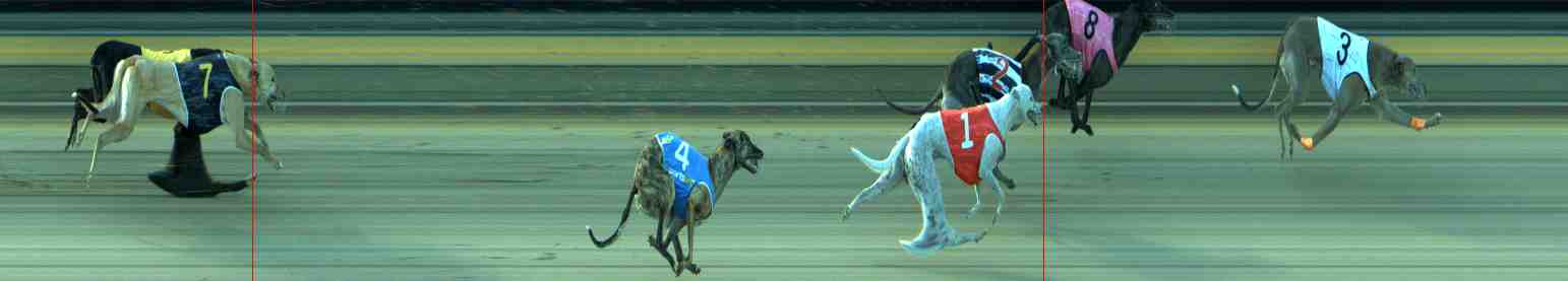 Photo finish for Sale Race 12