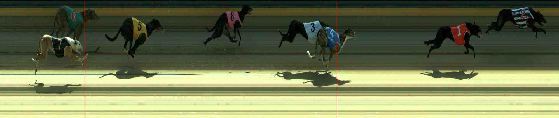 Photo finish for Sale Race 1
