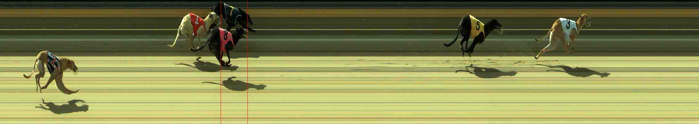 Photo finish for Sale Race 10