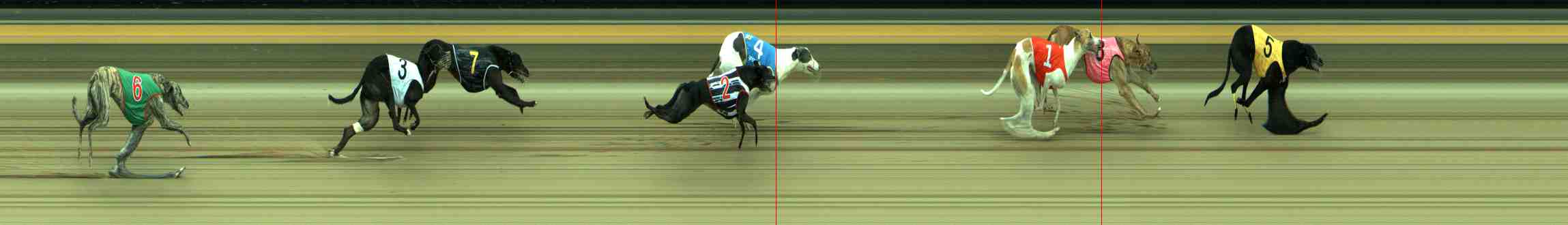 Photo finish for Sale Race 11