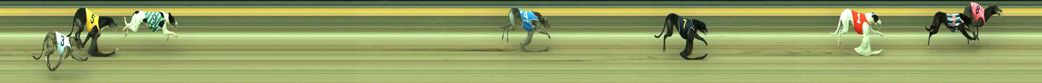Photo finish for Sale Race 12