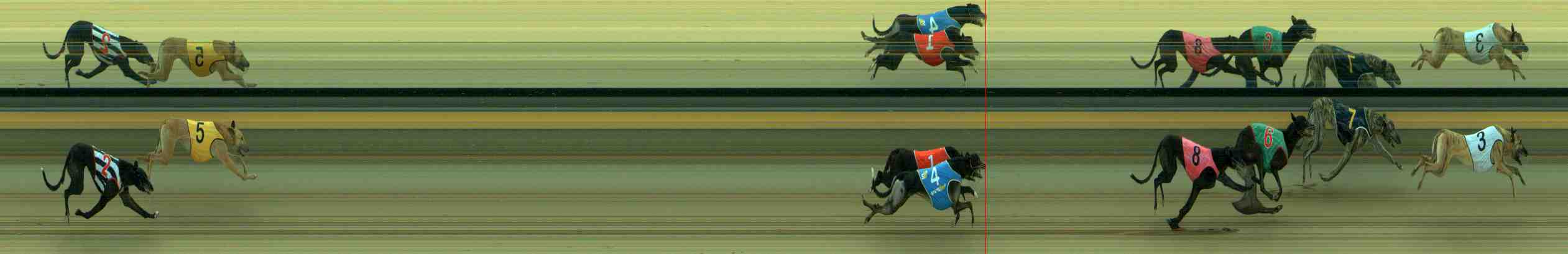 Photo finish for Sale Race 3