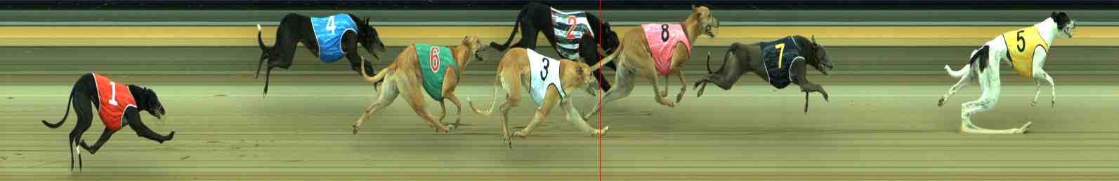 Photo finish for Sale Race 5