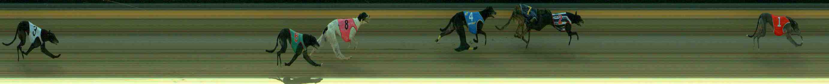 Photo finish for Sale Race 6