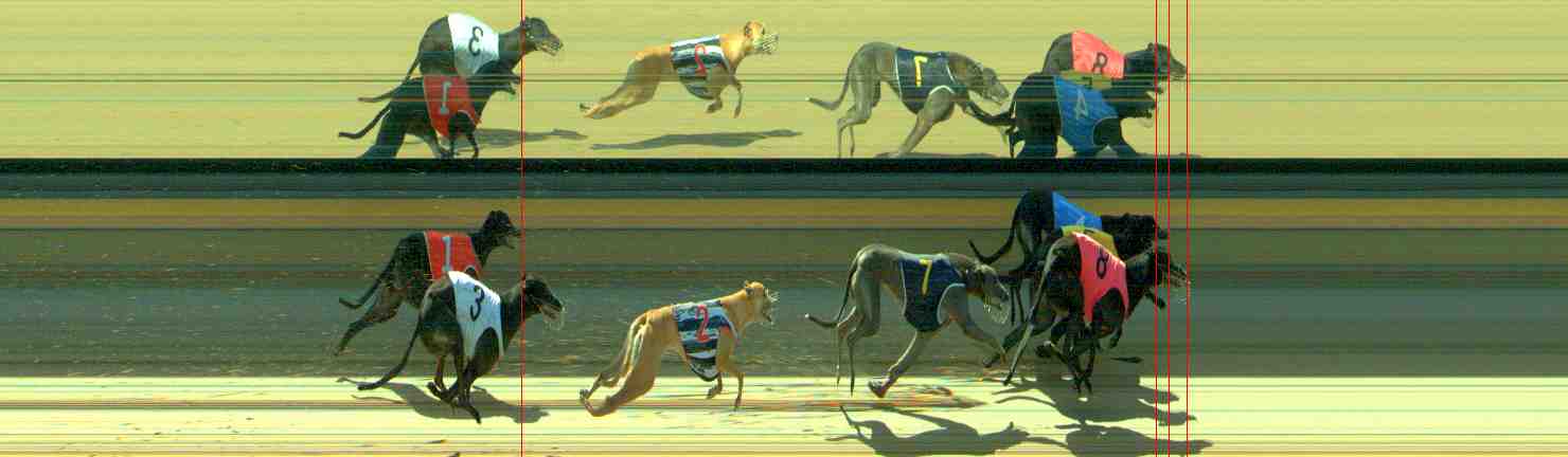 Photo finish for Sale Race 7