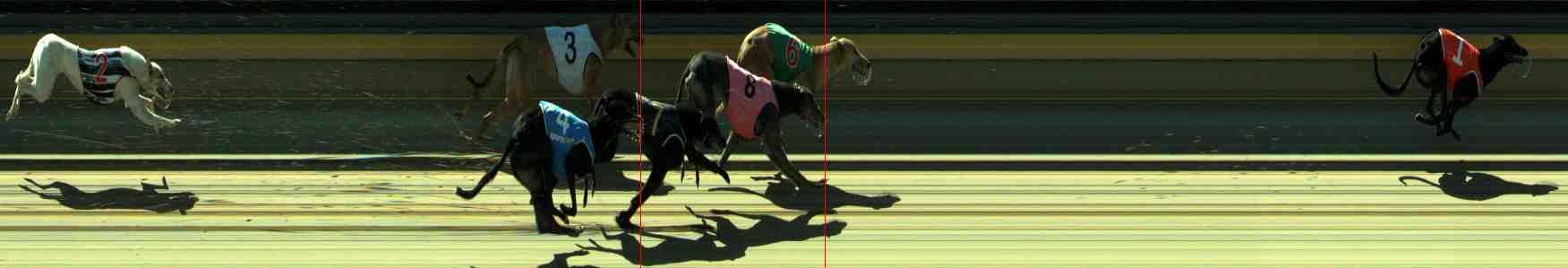 Photo finish for Sale Race 8