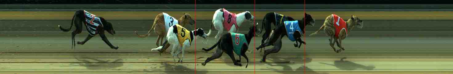 Photo finish for Sale Race 9