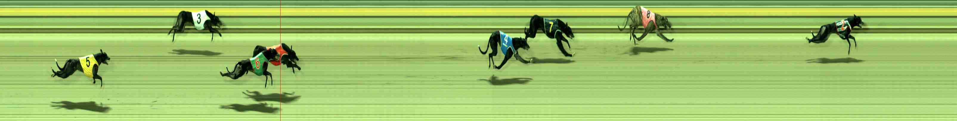 Photo finish for Sale Race 2