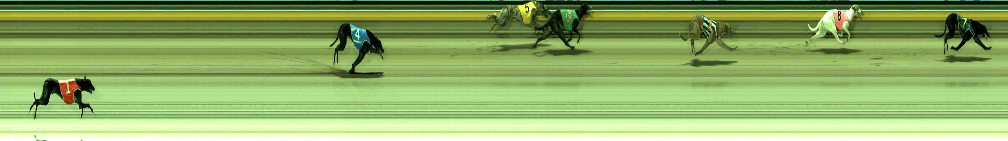 Photo finish for Sale Race 3