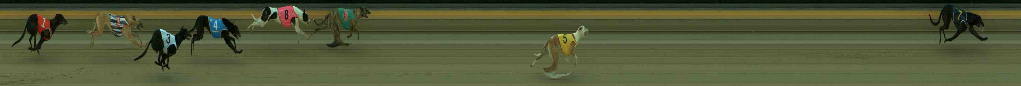 Photo finish for Sale Race 1
