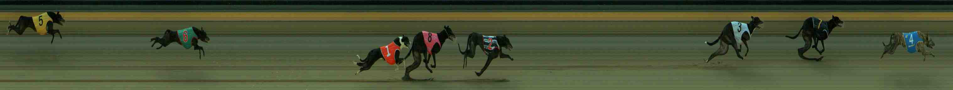 Photo finish for Sale Race 2