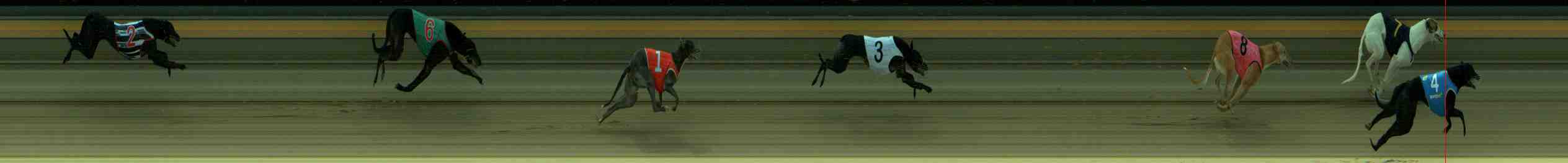 Photo finish for Sale Race 3