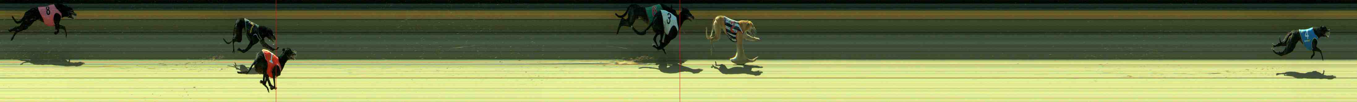 Photo finish for Sale Race 4