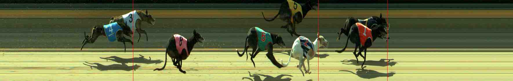 Photo finish for Sale Race 5