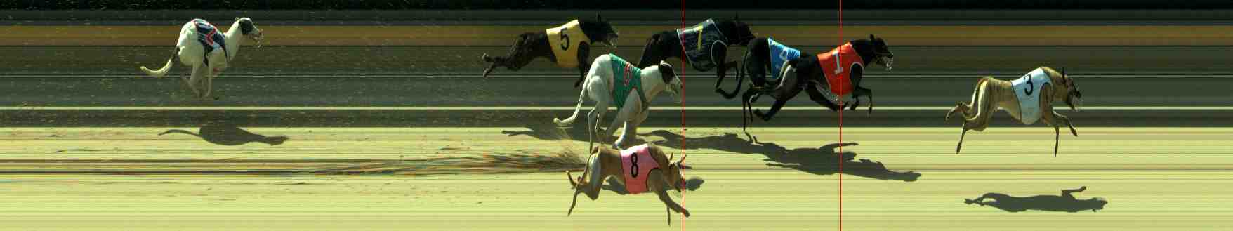 Photo finish for Sale Race 6