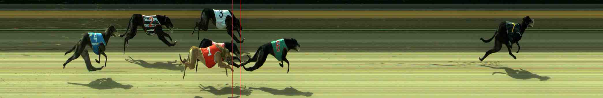 Photo finish for Sale Race 7