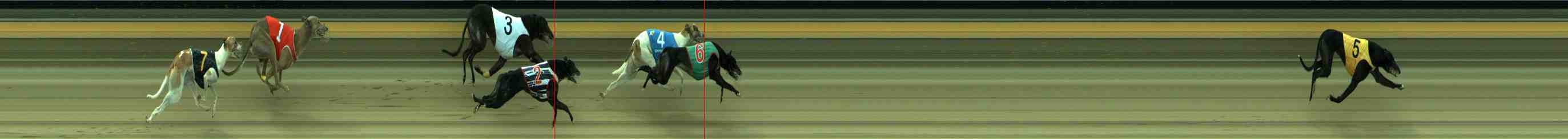 Photo finish for Sale Race 8