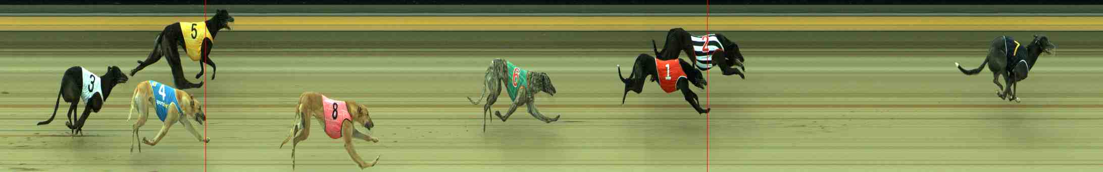 Photo finish for Sale Race 9