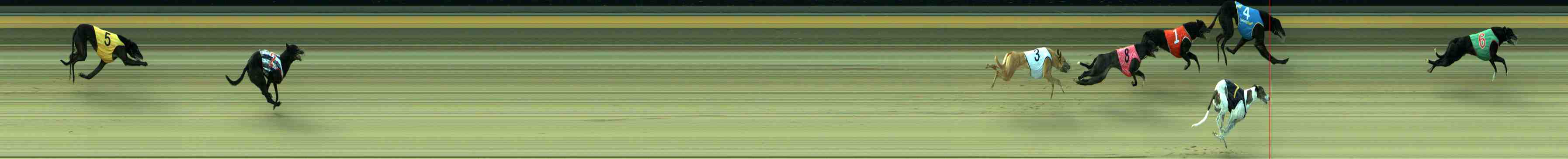 Photo finish for Sale Race 10