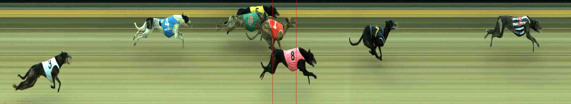 Photo finish for Sale Race 11