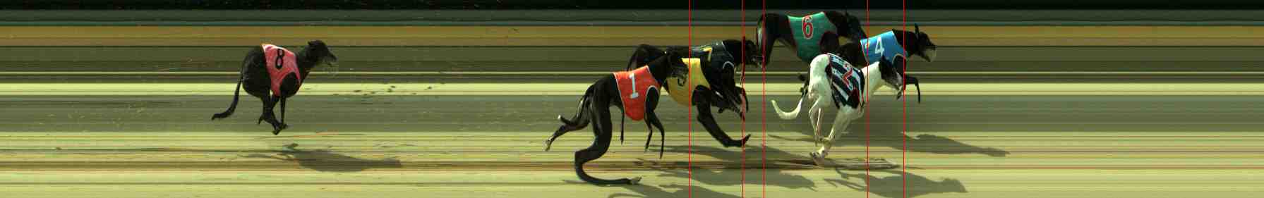 Photo finish for Sale Race 12