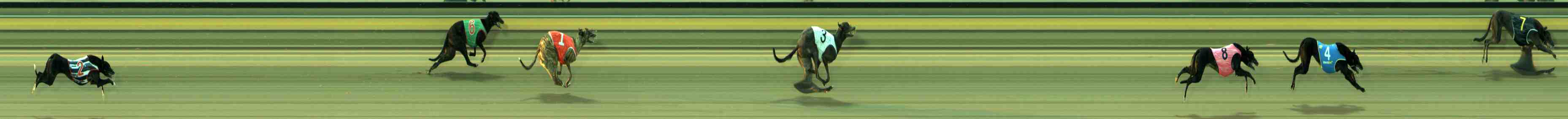 Photo finish for Sale Race 1