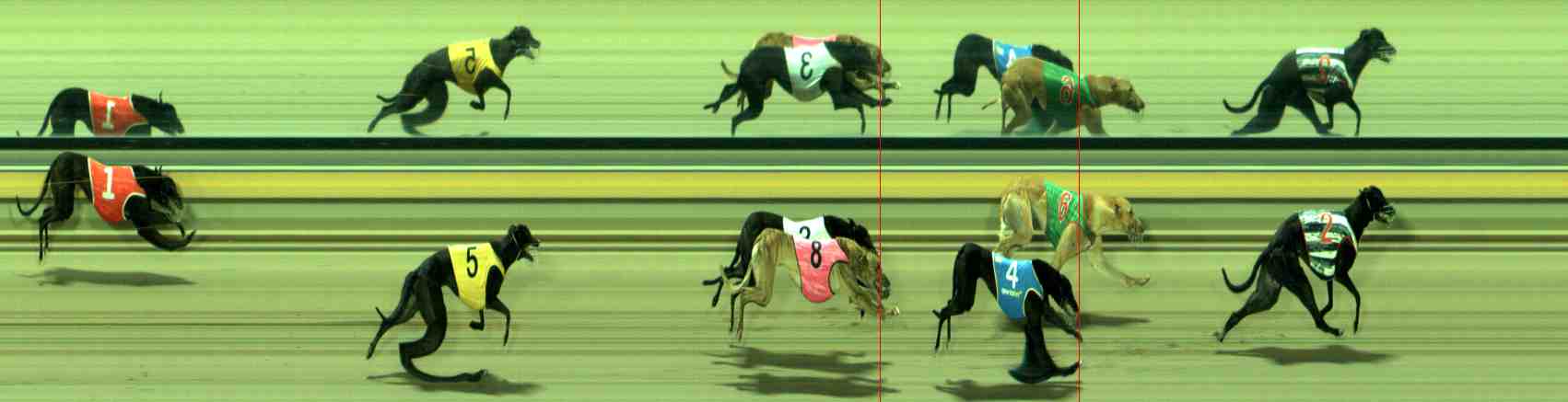Photo finish for Sale Race 2