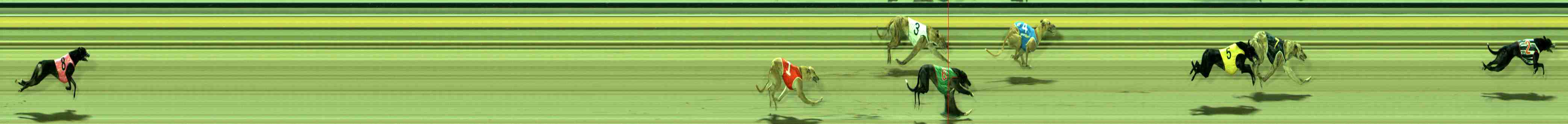 Photo finish for Sale Race 3