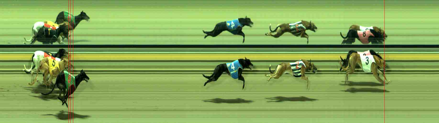 Photo finish for Sale Race 6