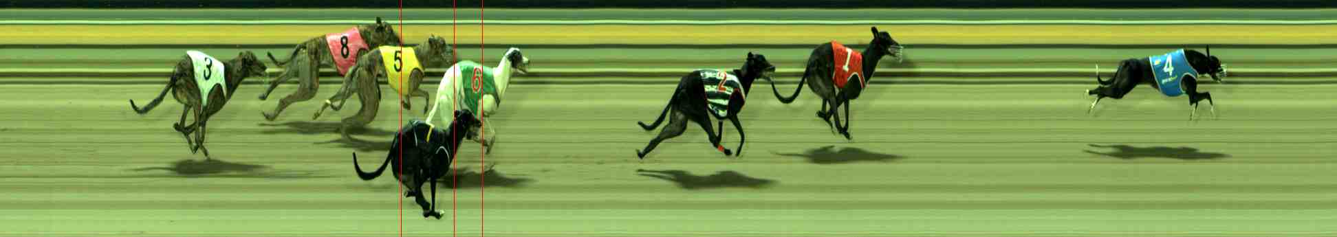 Photo finish for Sale Race 8