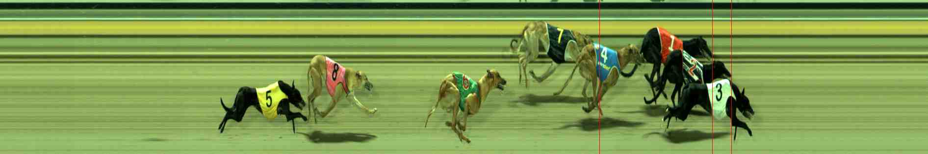 Photo finish for Sale Race 10