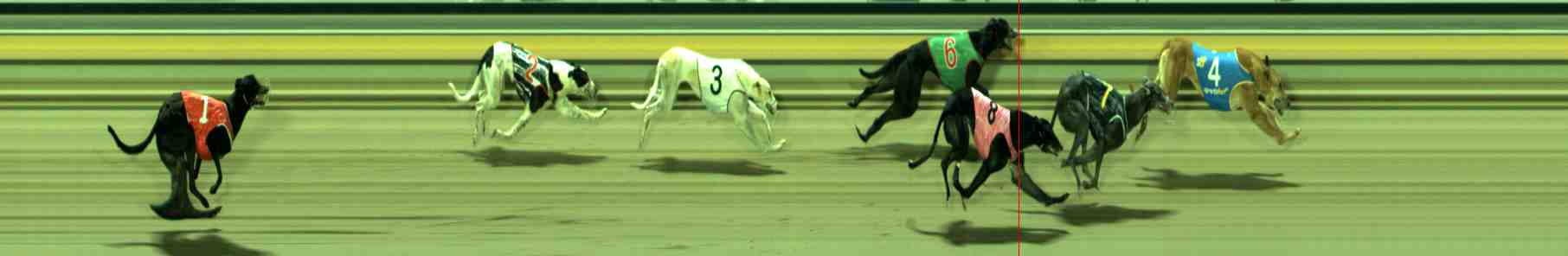 Photo finish for Sale Race 11