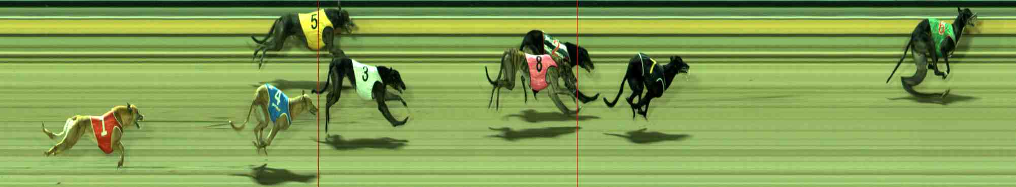 Photo finish for Sale Race 12