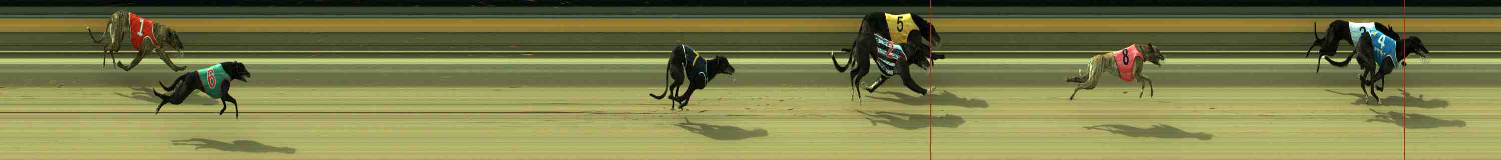 Photo finish for Sale Race 1