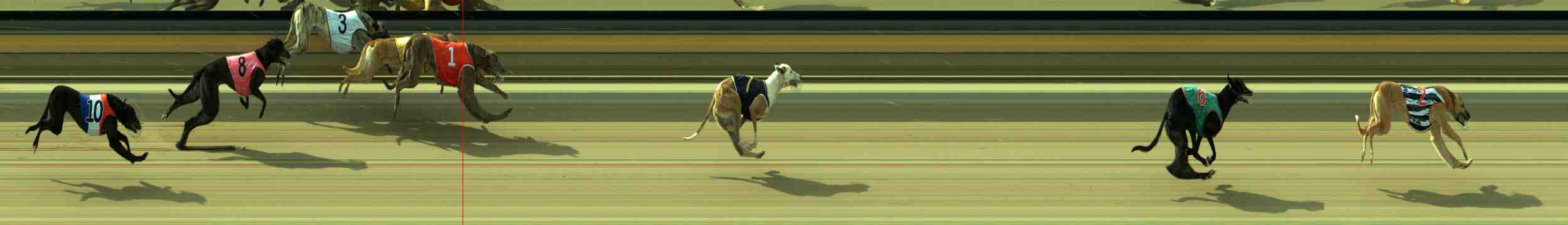 Photo finish for Sale Race 2