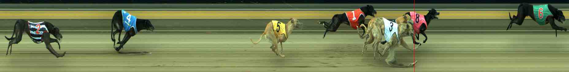 Photo finish for Sale Race 3