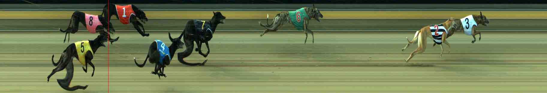 Photo finish for Sale Race 4