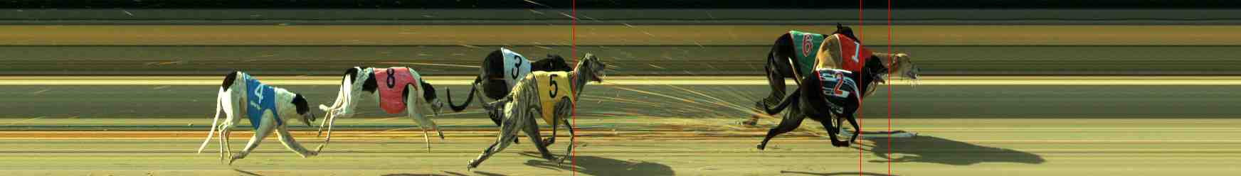 Photo finish for Sale Race 5
