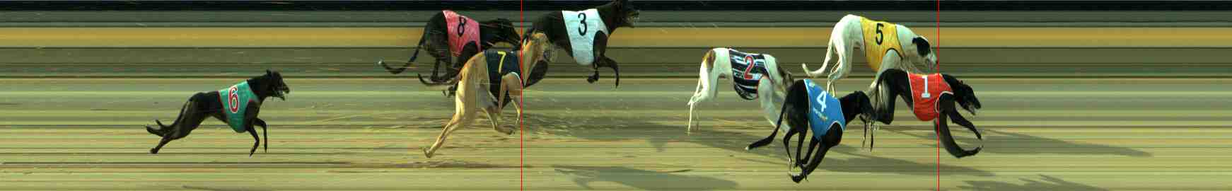 Photo finish for Sale Race 6