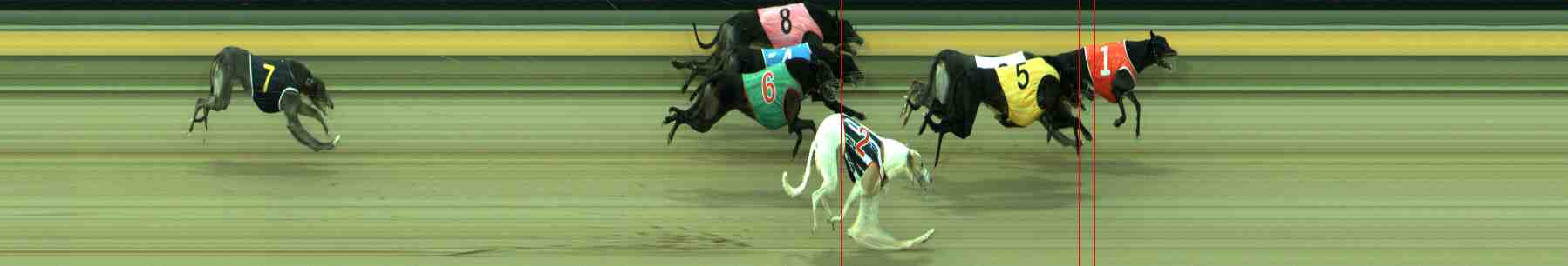 Photo finish for Sale Race 7