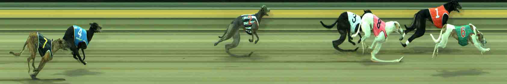 Photo finish for Sale Race 8