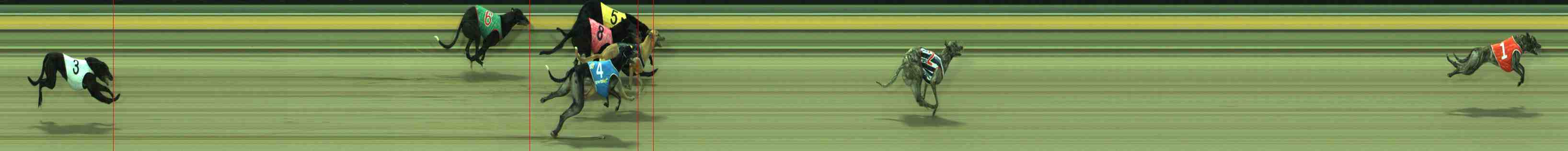 Photo finish for Sale Race 9