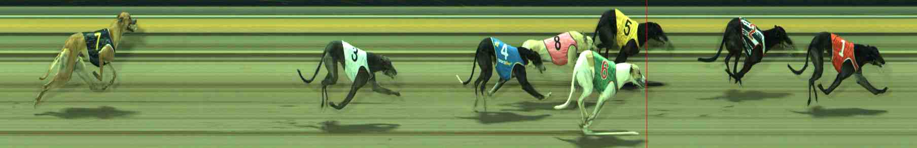 Photo finish for Sale Race 10