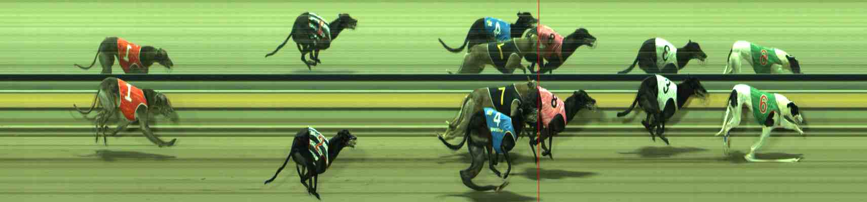 Photo finish for Sale Race 11